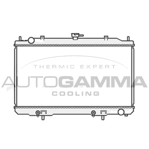 Chladič motora AUTOGAMMA 107018