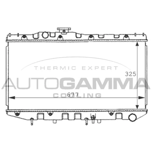 Chladič motora AUTOGAMMA 100990