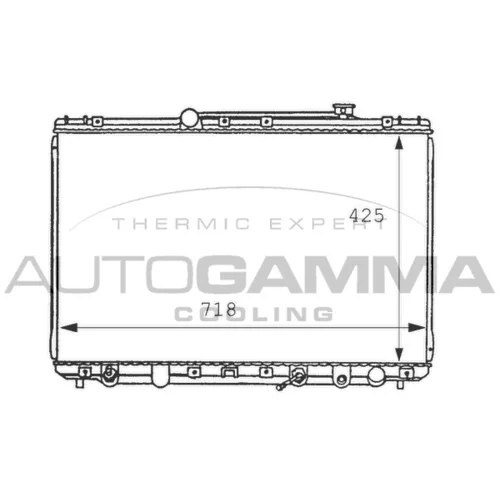 Chladič motora AUTOGAMMA 100992