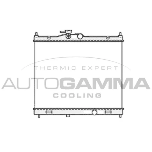 Chladič motora AUTOGAMMA 105875