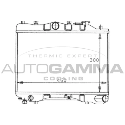 Chladič motora AUTOGAMMA 100481