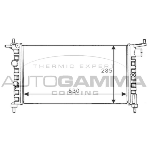 Chladič motora AUTOGAMMA 100674