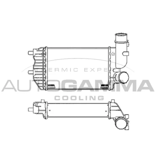 Chladič plniaceho vzduchu AUTOGAMMA 101888