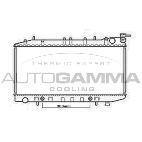 Chladič motora AUTOGAMMA 102212