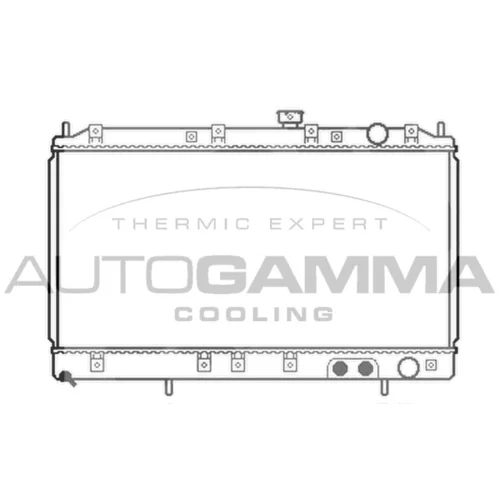 Chladič motora AUTOGAMMA 103479