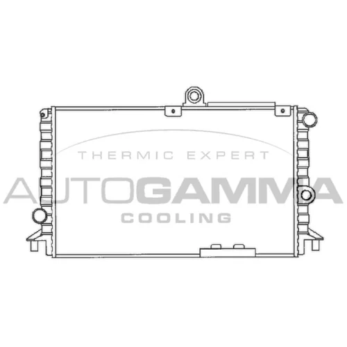 Chladič motora AUTOGAMMA 100004
