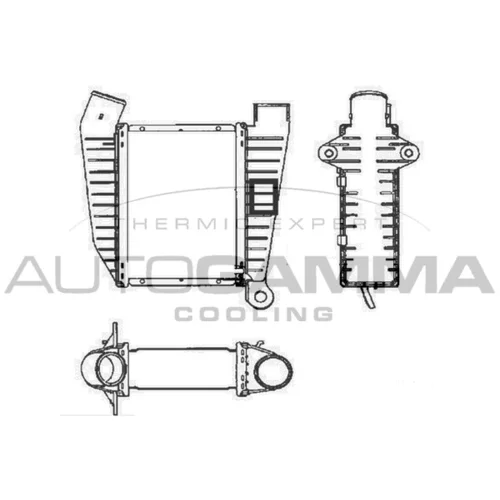 Chladič plniaceho vzduchu AUTOGAMMA 101937