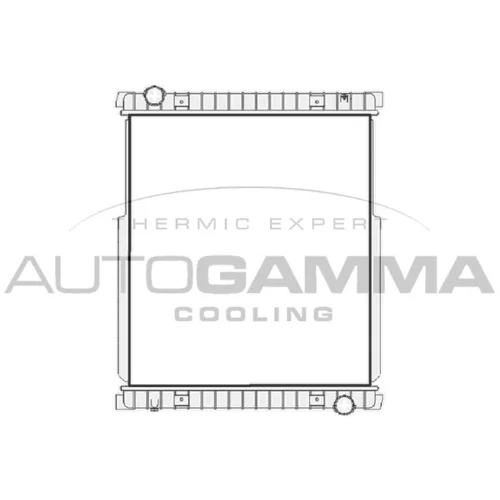 Chladič motora AUTOGAMMA 404894