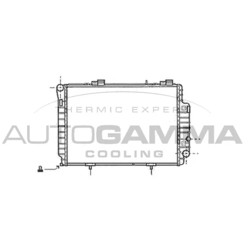 Chladič motora AUTOGAMMA 101379