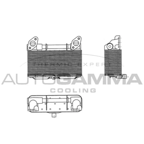 Chladič motorového oleja AUTOGAMMA 303712