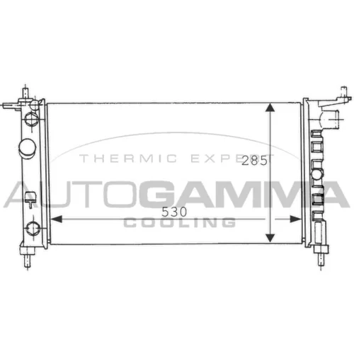 Chladič motora AUTOGAMMA 100676