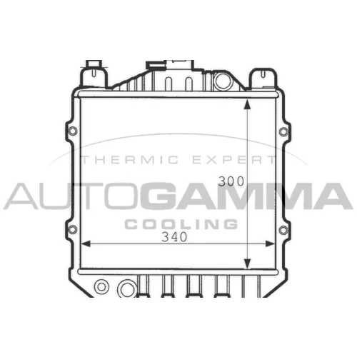 Chladič motora AUTOGAMMA 100977