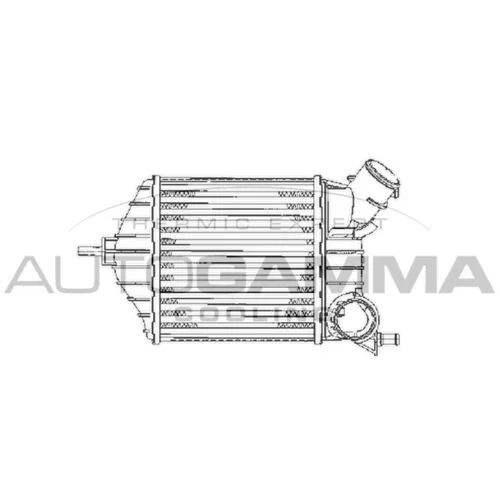 Chladič plniaceho vzduchu AUTOGAMMA 103166