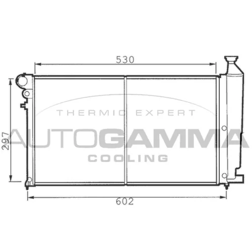 Chladič motora AUTOGAMMA 100197