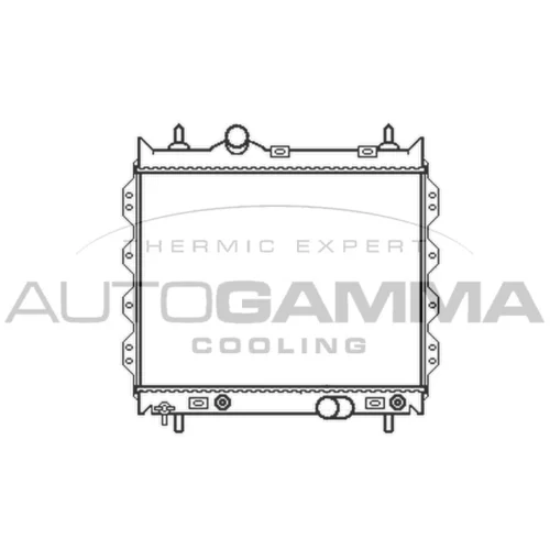 Chladič motora AUTOGAMMA 102861