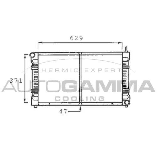 Chladič motora AUTOGAMMA 400482