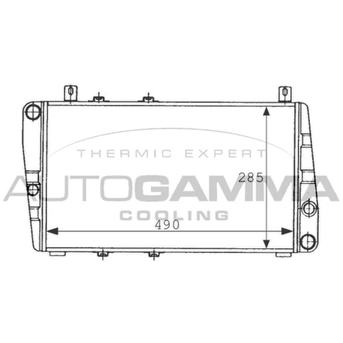 Chladič motora AUTOGAMMA 100967