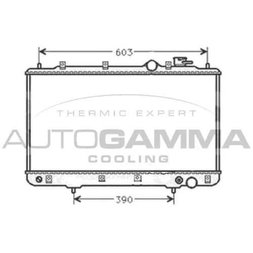 Chladič motora AUTOGAMMA 101441