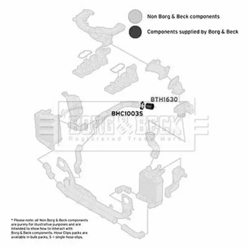 Hadica plniaceho vzduchu BTH1630 (BORG & BECK) - obr. 1