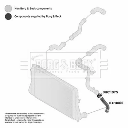 Hadica plniaceho vzduchu BORG & BECK BTH1066 - obr. 1