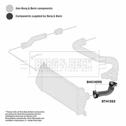 Hadica plniaceho vzduchu BORG & BECK BTH1352 - obr. 1