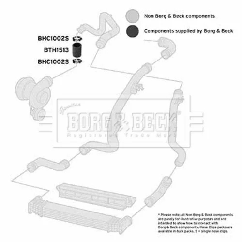 Hadica plniaceho vzduchu BTH1513 (BORG & BECK) - obr. 1