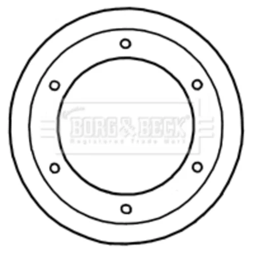 Brzdový kotúč BORG & BECK BBD5921S