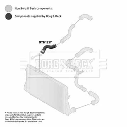 Hadica plniaceho vzduchu BORG & BECK BTH1217 - obr. 1