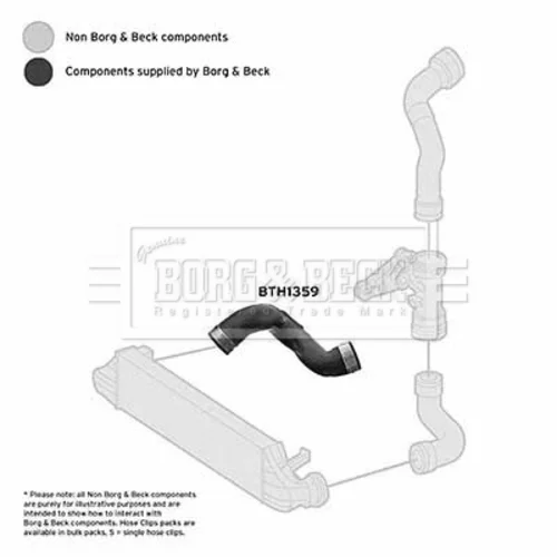 Hadica plniaceho vzduchu BORG & BECK BTH1359 - obr. 1