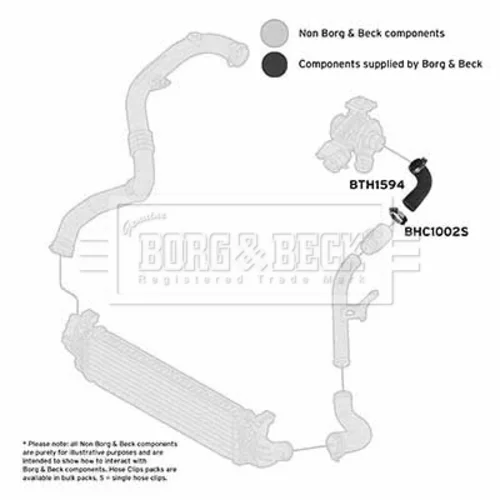 Hadica plniaceho vzduchu BTH1594 (BORG & BECK) - obr. 1