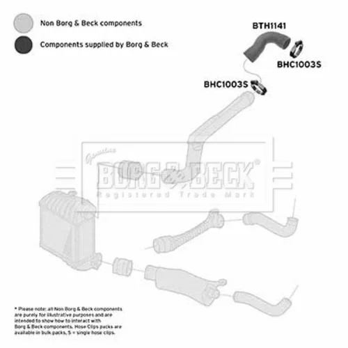 Hadica plniaceho vzduchu BORG & BECK BTH1141 - obr. 1