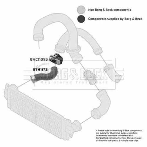 Hadica plniaceho vzduchu BORG & BECK BTH1173 - obr. 1