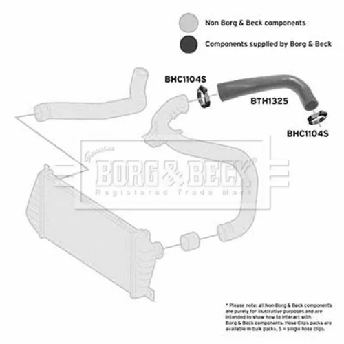 Hadica plniaceho vzduchu BORG & BECK BTH1325 - obr. 1