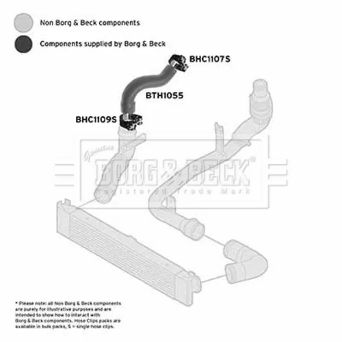 Hadica plniaceho vzduchu BORG & BECK BTH1055 - obr. 1