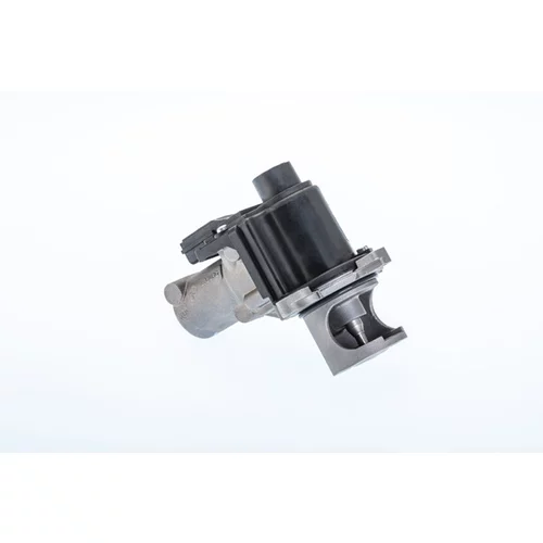 EGR ventil WAHLER 710977R