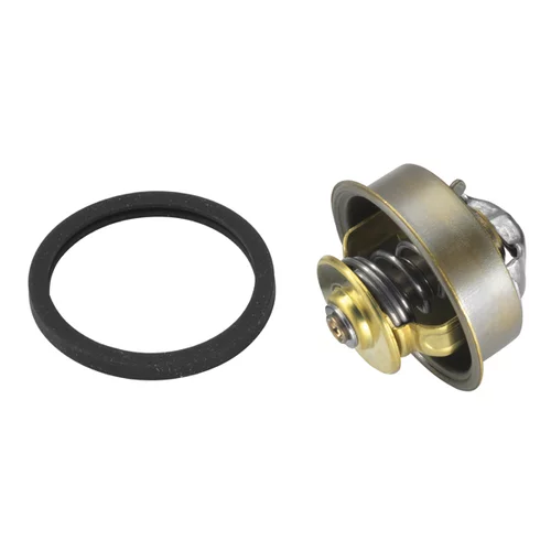 Termostat chladenia 4089.87D /WAHLER/ - obr. 1