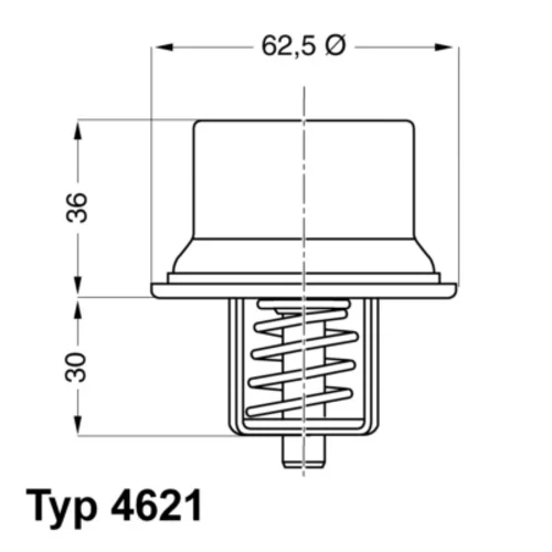 Termostat chladenia WAHLER 4621.80D