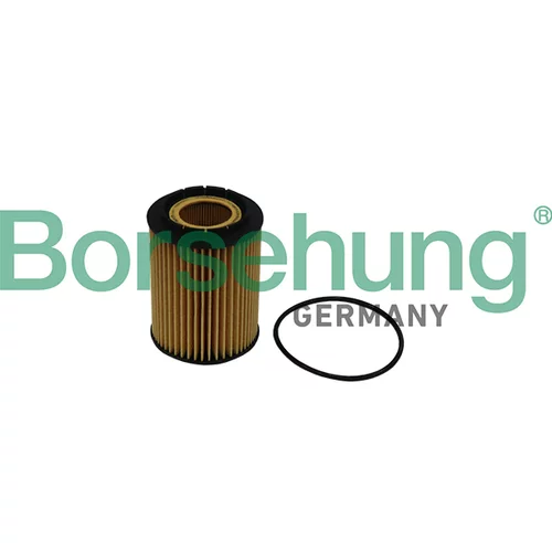 Olejový filter Borsehung B10516 (Borsehung GERMANY)