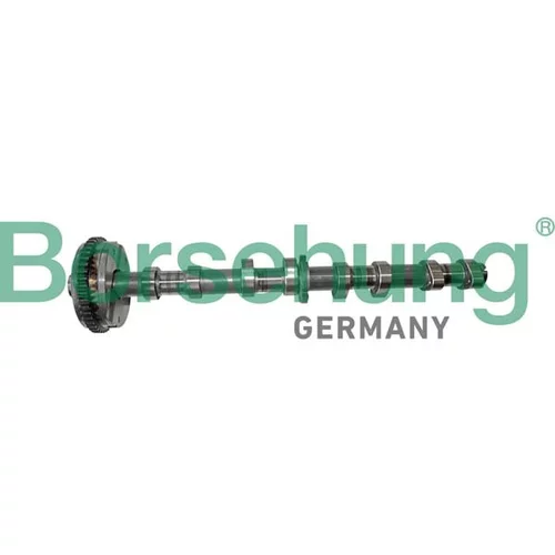 Vačkový hriadeľ Borsehung B12413 (Borsehung GERMANY)