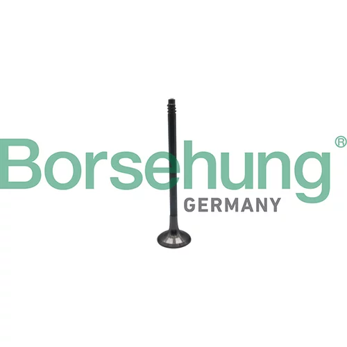 Výfukový ventil Borsehung B10324 (Borsehung GERMANY)