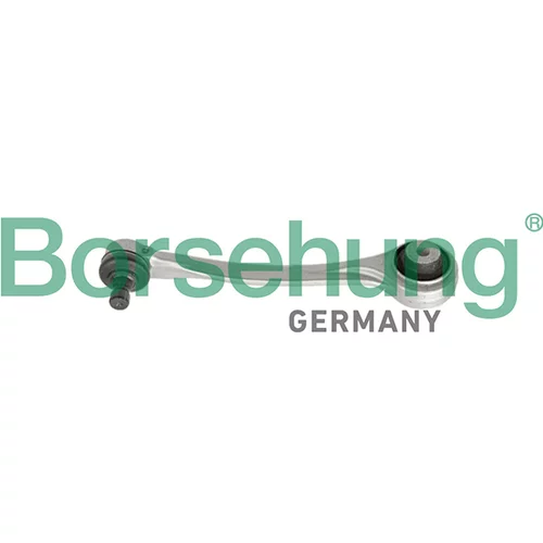 Rameno zavesenia kolies Borsehung B10849 (Borsehung GERMANY)