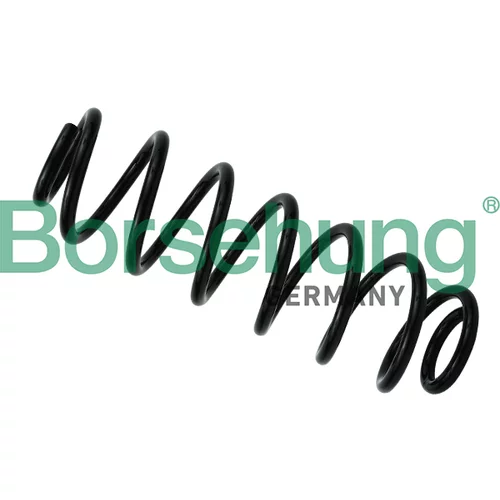 Pružina podvozku Borsehung B12622 (Borsehung GERMANY)