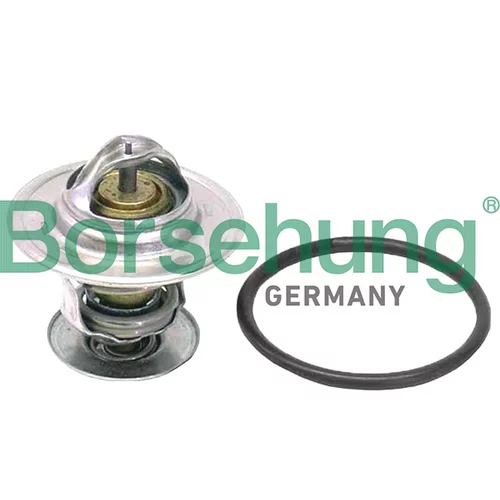 Termostat chladenia Borsehung B18262 (Borsehung GERMANY)