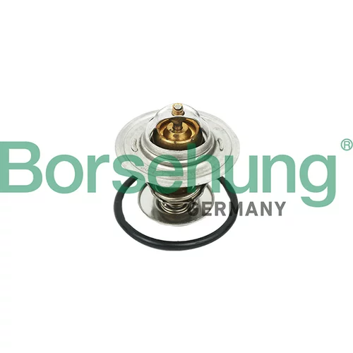 Termostat chladenia Borsehung B18268