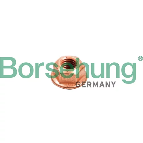 Skrutka pre výfukový systém Borsehung B10638 (Borsehung GERMANY)