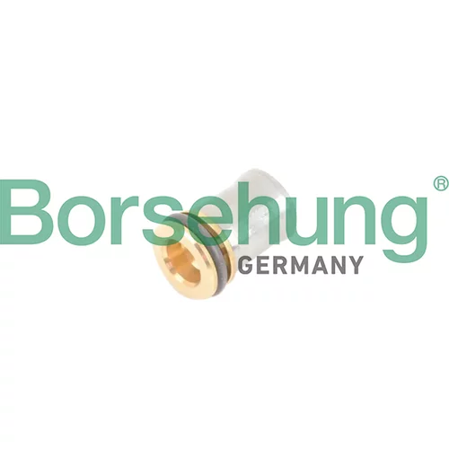 Ventil odvetrania kľukovej skrine Borsehung B12241 (Borsehung GERMANY)