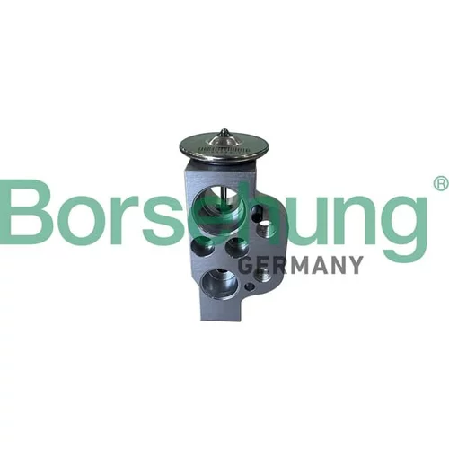 Expanzný ventil klimatizácie Borsehung B12412 (Borsehung GERMANY)