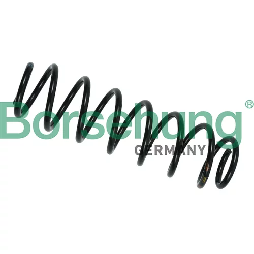 Pružina podvozku Borsehung B12560 (Borsehung GERMANY)