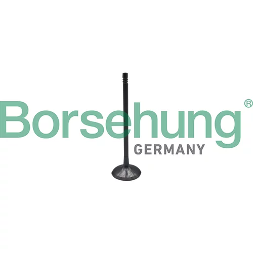 Nasávací ventil Borsehung B10323 (Borsehung GERMANY)