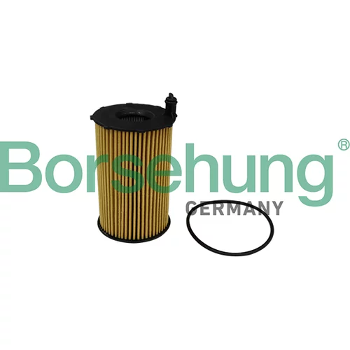 Olejový filter Borsehung B10540